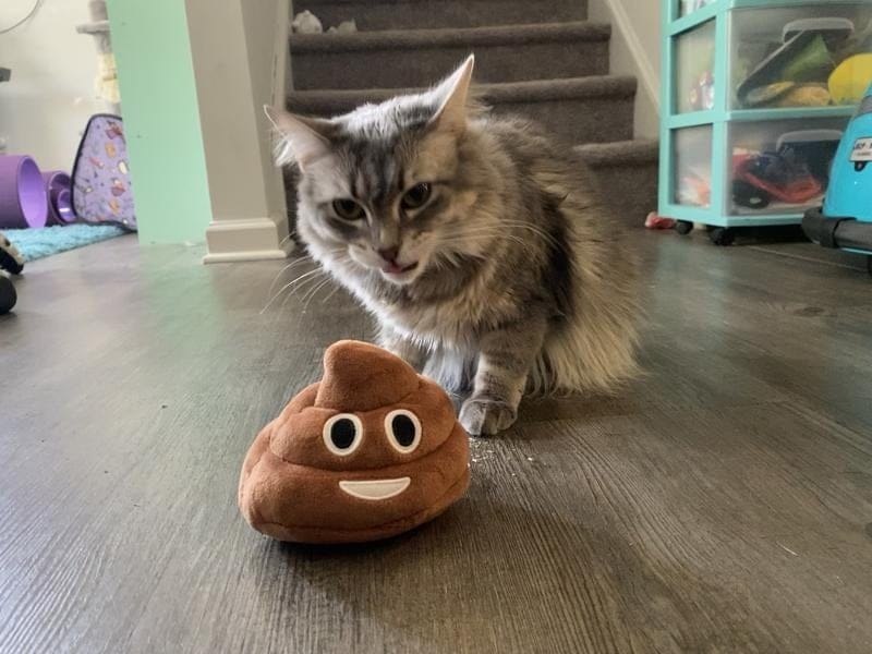 Cilifer®Funny Talking Poop Plush Toy – Makes Fart Sounds!