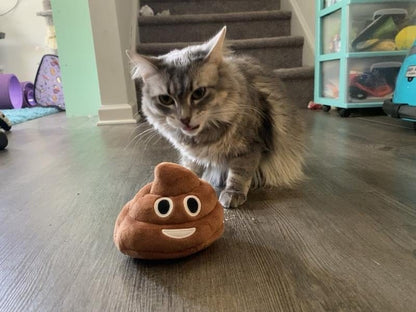 Cilifer®Funny Talking Poop Plush Toy – Makes Fart Sounds!