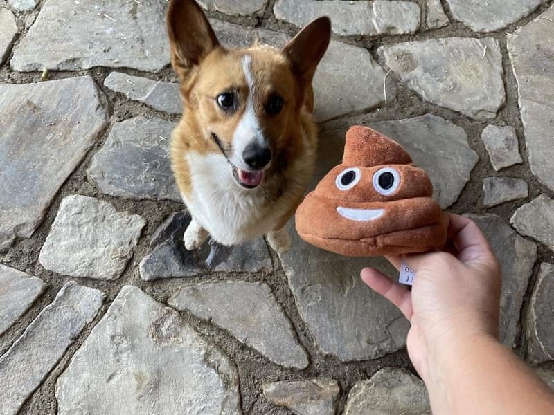 Cilifer®Funny Talking Poop Plush Toy – Makes Fart Sounds!