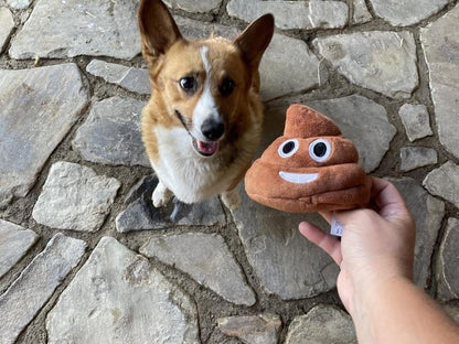 Cilifer®Funny Talking Poop Plush Toy – Makes Fart Sounds!